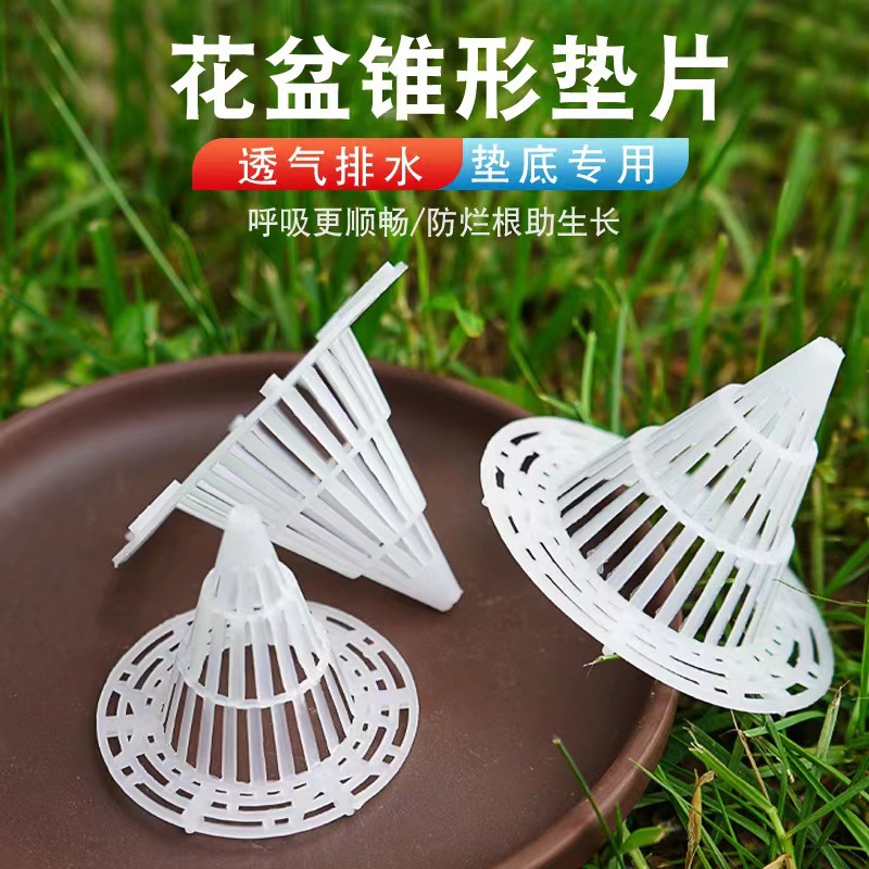 读海子 读书不仅是精进，也是自我透气